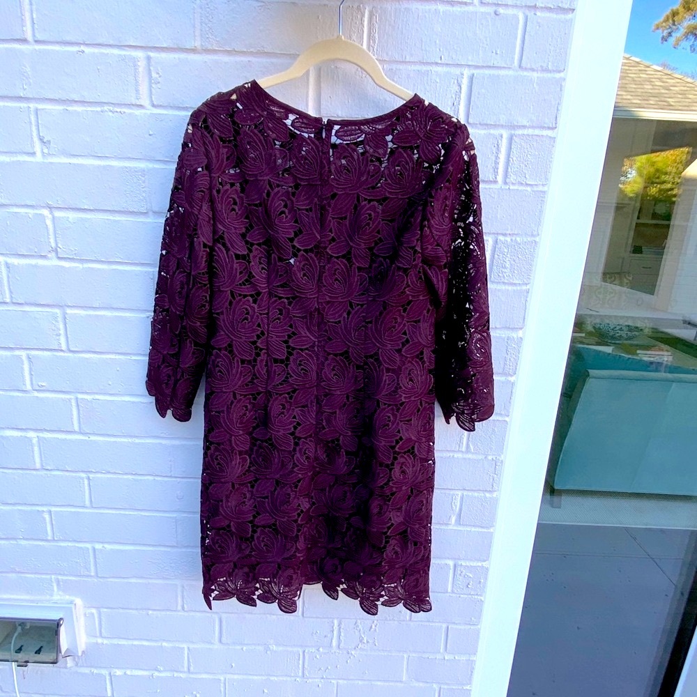 Ann Taylor lace Dress with tags